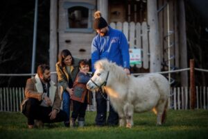 children pet a horse 8 animal attractions in Ireland