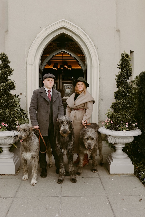 Irish Wolfhound Experience in Ireland: Meet Fiadh's Gentle Giants